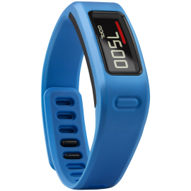 Garmin Vivofit Fitness Band